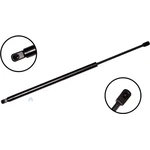 Order Lift Support by FCS AUTOMOTIVE - 86186 For Your Vehicle