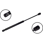 Order Lift Support by FCS AUTOMOTIVE - 86189 For Your Vehicle