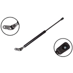 Order FCS AUTOMOTIVE - 86191L - Lift Support For Your Vehicle
