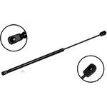 Order Lift Support by FCS AUTOMOTIVE - 86192 For Your Vehicle