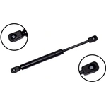 Order Lift Support by FCS AUTOMOTIVE - 86193 For Your Vehicle