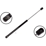 Order Lift Support by FCS AUTOMOTIVE - 86194 For Your Vehicle