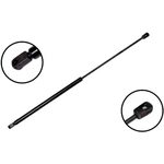 Order Lift Support by FCS AUTOMOTIVE - 86196 For Your Vehicle