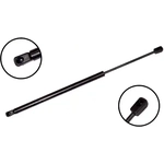 Order Lift Support by FCS AUTOMOTIVE - 86197 For Your Vehicle