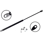 Order Lift Support by FCS AUTOMOTIVE - 86202 For Your Vehicle