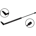 Order Lift Support by FCS AUTOMOTIVE - 86219L For Your Vehicle