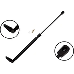 Order Lift Support by FCS AUTOMOTIVE - 86219R For Your Vehicle