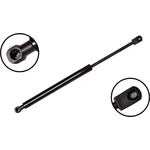 Order Lift Support by FCS AUTOMOTIVE - 86224 For Your Vehicle