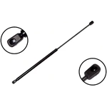 Order Lift Support by FCS AUTOMOTIVE - 86225 For Your Vehicle