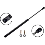 Order Lift Support by FCS AUTOMOTIVE - 86228 For Your Vehicle