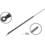 Order Lift Support by FCS AUTOMOTIVE - 86229 For Your Vehicle