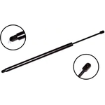 Order Lift Support by FCS AUTOMOTIVE - 86238 For Your Vehicle