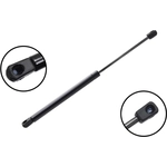 Order Lift Support by FCS AUTOMOTIVE - 86242 For Your Vehicle