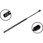 Order Lift Support by FCS AUTOMOTIVE - 86243 For Your Vehicle