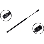 Order Lift Support by FCS AUTOMOTIVE - 86253 For Your Vehicle