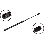 Order Lift Support by FCS AUTOMOTIVE - 86260 For Your Vehicle