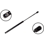 Order Lift Support by FCS AUTOMOTIVE - 86261 For Your Vehicle