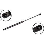 Order Lift Support by FCS AUTOMOTIVE - 86269 For Your Vehicle