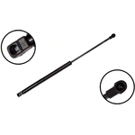 Order Lift Support by FCS AUTOMOTIVE - 86275 For Your Vehicle