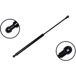 Order Lift Support by FCS AUTOMOTIVE - 86291 For Your Vehicle