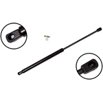 Order Lift Support by FCS AUTOMOTIVE - 86301 For Your Vehicle