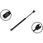 Order FCS AUTOMOTIVE - 86303 - Lift Support For Your Vehicle