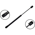 Order Lift Support by FCS AUTOMOTIVE - 86304 For Your Vehicle