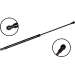 Order Lift Support by FCS AUTOMOTIVE - 86305 For Your Vehicle