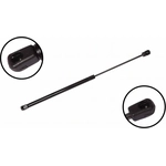 Order Lift Support by FCS AUTOMOTIVE - 86306 For Your Vehicle