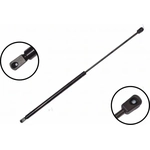 Order Lift Support by FCS AUTOMOTIVE - 86310 For Your Vehicle