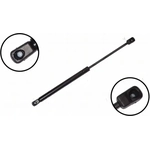 Order Lift Support by FCS AUTOMOTIVE - 86314 For Your Vehicle