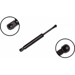 Order Lift Support by FCS AUTOMOTIVE - 86319 For Your Vehicle