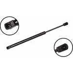 Order Lift Support by FCS AUTOMOTIVE - 86328 For Your Vehicle