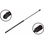 Order Lift Support by FCS AUTOMOTIVE - 86333 For Your Vehicle