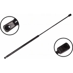 Order Lift Support by FCS AUTOMOTIVE - 86336 For Your Vehicle