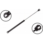 Order Lift Support by FCS AUTOMOTIVE - 86341 For Your Vehicle