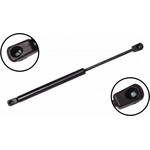 Order FCS AUTOMOTIVE - 86351 - Lift Support For Your Vehicle