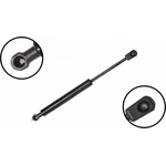 Order Lift Support by FCS AUTOMOTIVE - 86359 For Your Vehicle