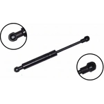 Order Lift Support by FCS AUTOMOTIVE - 86364 For Your Vehicle