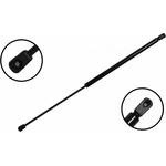 Order Lift Support by FCS AUTOMOTIVE - 86369 For Your Vehicle