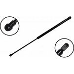 Order Lift Support by FCS AUTOMOTIVE - 86371 For Your Vehicle