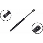 Order Lift Support by FCS AUTOMOTIVE - 86373 For Your Vehicle