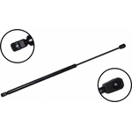 Order Lift Support by FCS AUTOMOTIVE - 86376 For Your Vehicle