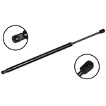 Order FCS AUTOMOTIVE - 86380 - Liftgate Lift Support For Your Vehicle