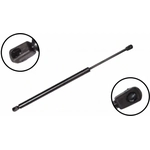 Order Lift Support by FCS AUTOMOTIVE - 86381 For Your Vehicle