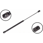 Order Lift Support by FCS AUTOMOTIVE - 86382 For Your Vehicle