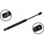 Order Lift Support by FCS AUTOMOTIVE - 86393 For Your Vehicle