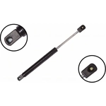 Order Lift Support by FCS AUTOMOTIVE - 86404 For Your Vehicle