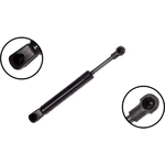 Order Lift Support by FCS AUTOMOTIVE - 86425 For Your Vehicle