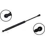 Order Lift Support by FCS AUTOMOTIVE - 86437 For Your Vehicle